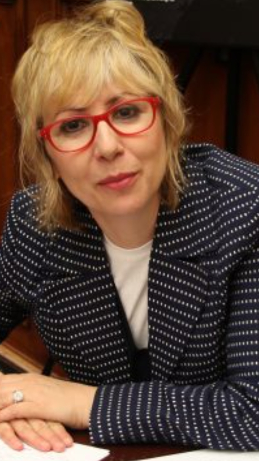 WHY TAKE ALBANIAN AS AN ELECTIVE FOREIGN LANGUAGE COURSE AT HARVARD